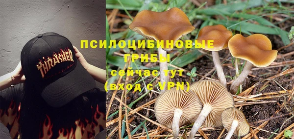героин Богородицк