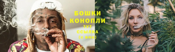 тгк Богданович