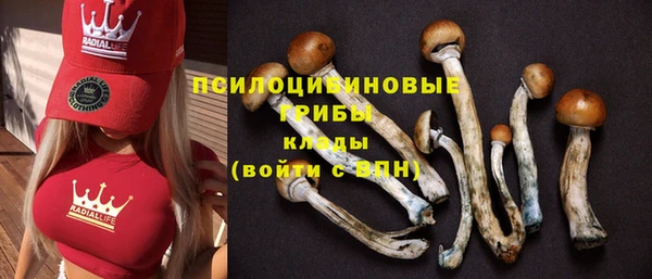 тгк Богданович