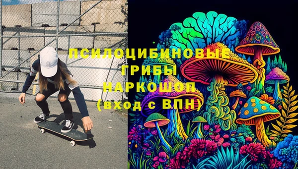 тгк Богданович