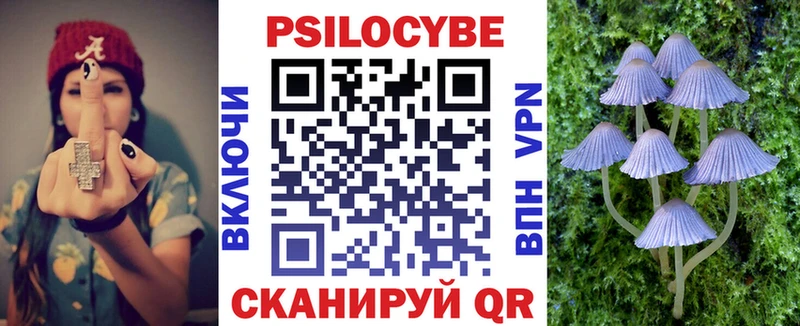 Галлюциногенные грибы Psilocybe Михайлов