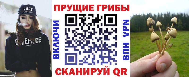 Галлюциногенные грибы мухоморы  цена наркотик  Михайлов 